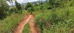 45 by 50 Mbalala Mukono