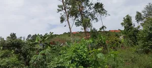 45 by 50 Mbalala Mukono