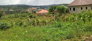 50 by 100 Near Jinja Road