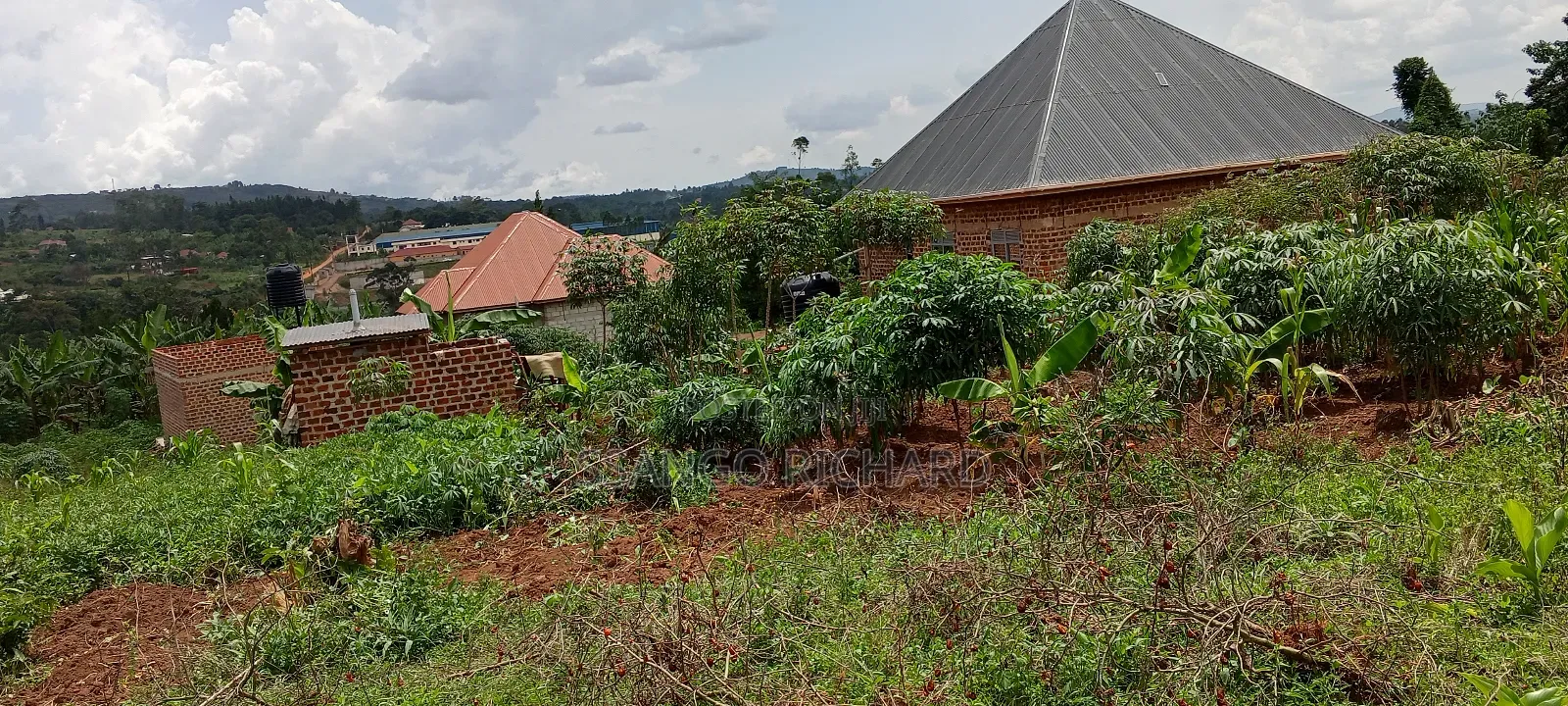 50 by 100 Near Jinja Road
