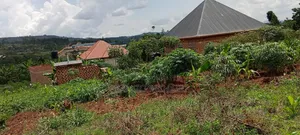 50 by 100 Near Jinja Road