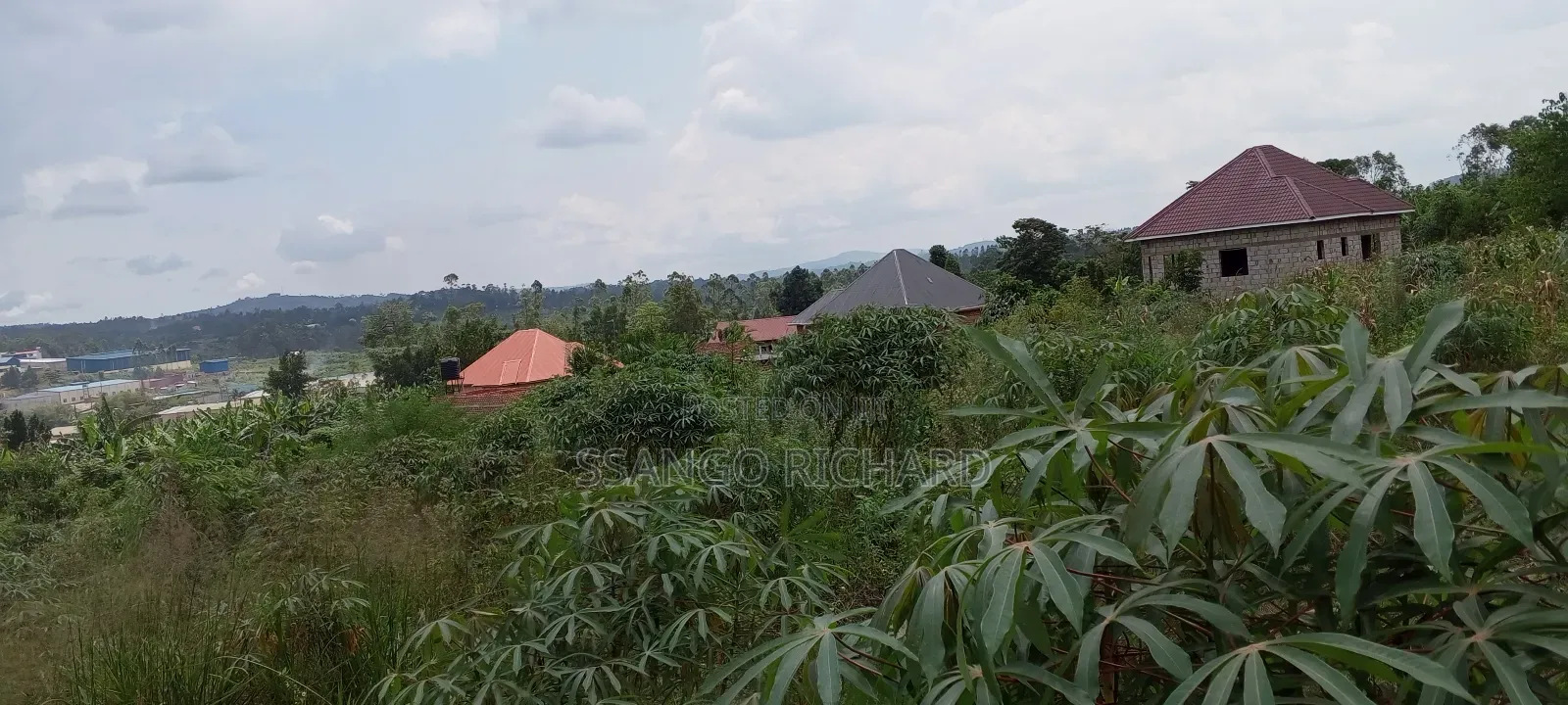 50 by 100 Near Jinja Road