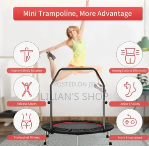 Foldable Mini Exercise Trampoline With an Adjustable Handle Bar