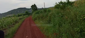4 Acres in Luwombo Buikwe