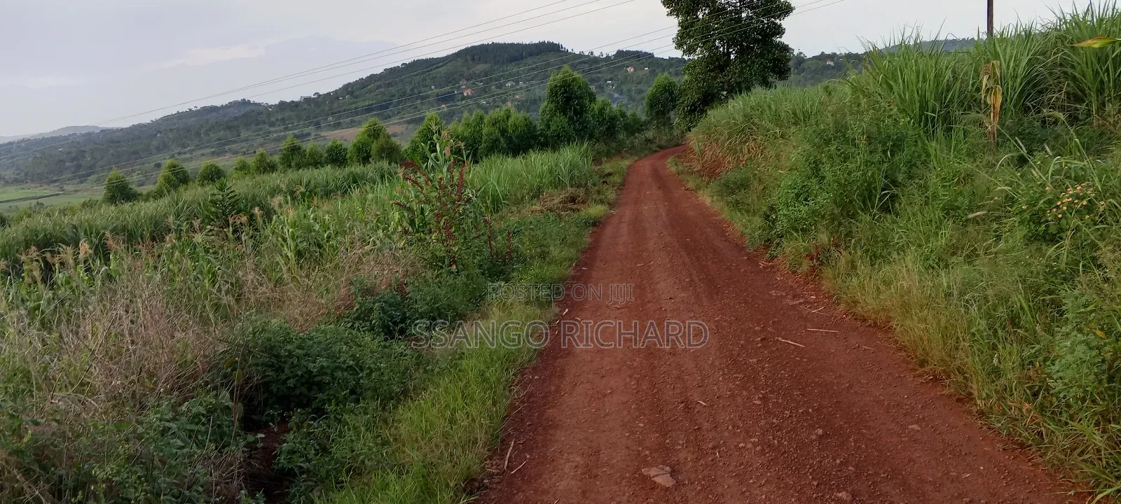 4 Acres in Luwombo Buikwe