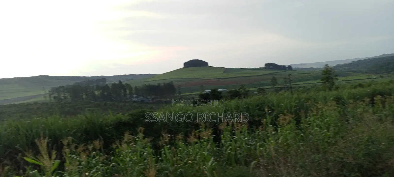 4 Acres in Luwombo Buikwe