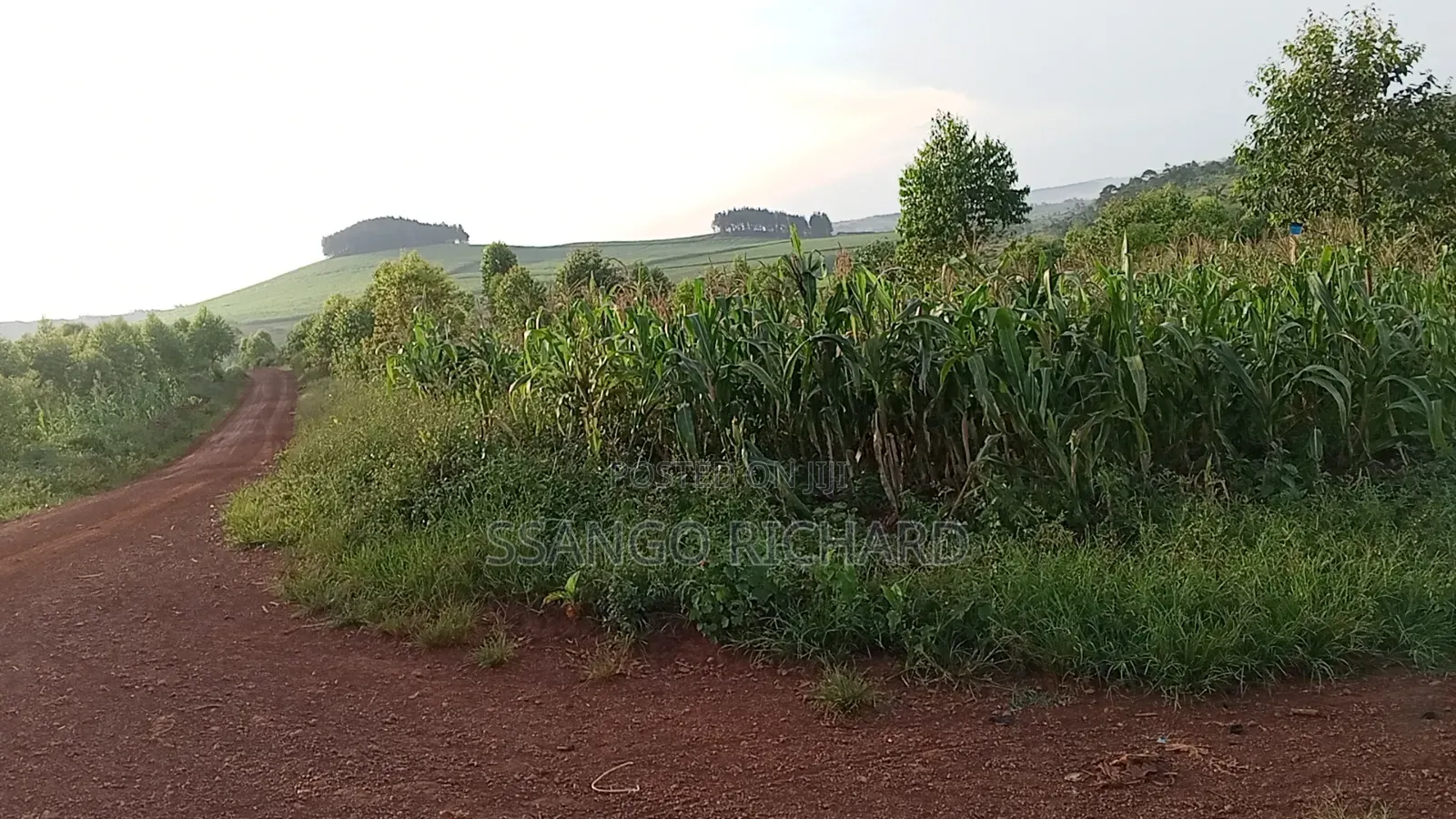 10 Acres in 7km From Jinja Road