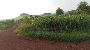 10 Acres in 7km From Jinja Road