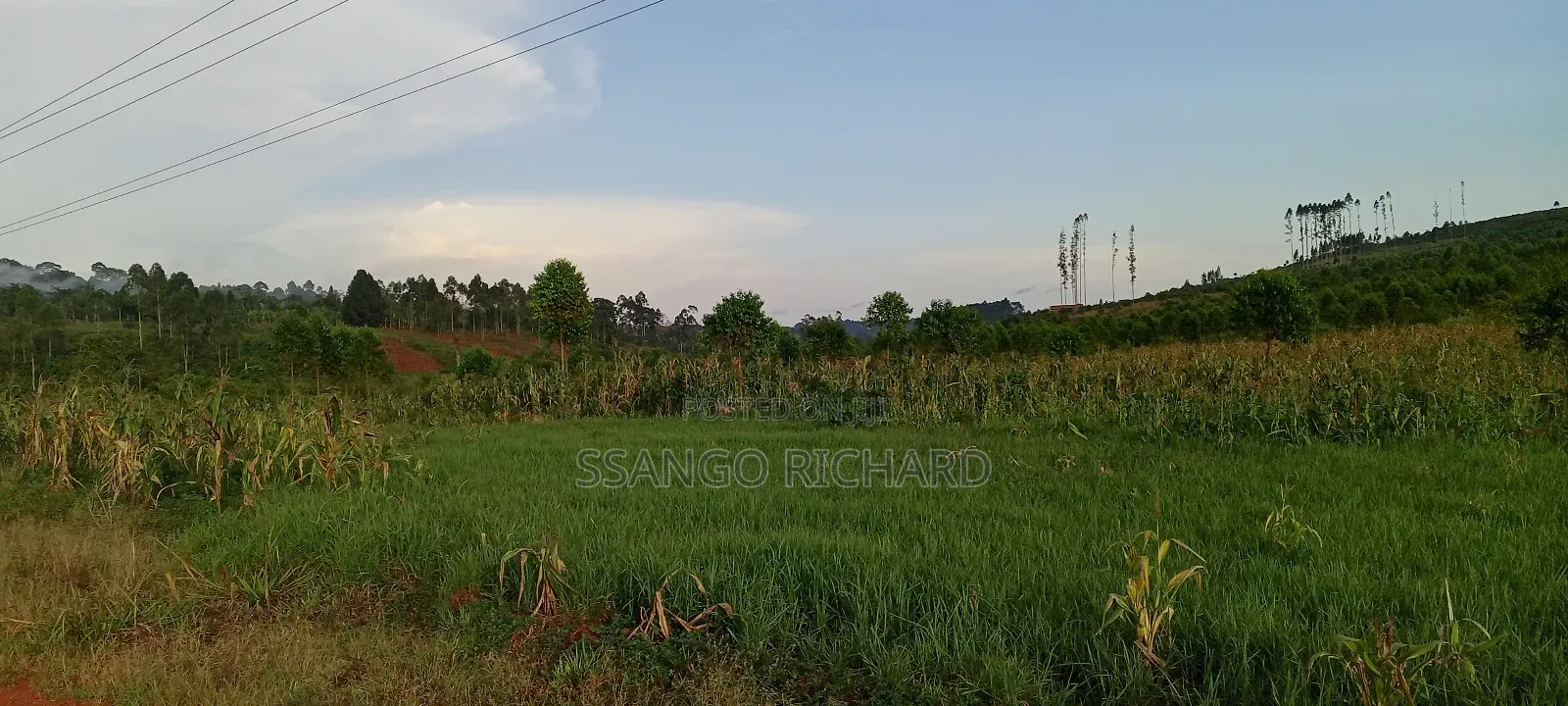 10 Acres in 7km From Jinja Road