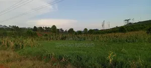 10 Acres in 7km From Jinja Road