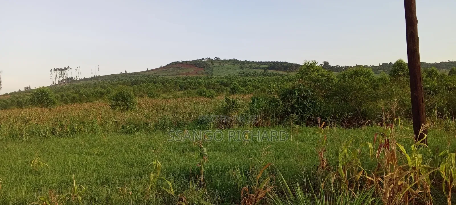 10 Acres in 7km From Jinja Road