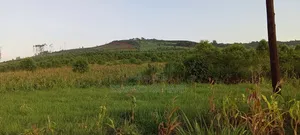 10 Acres in 7km From Jinja Road