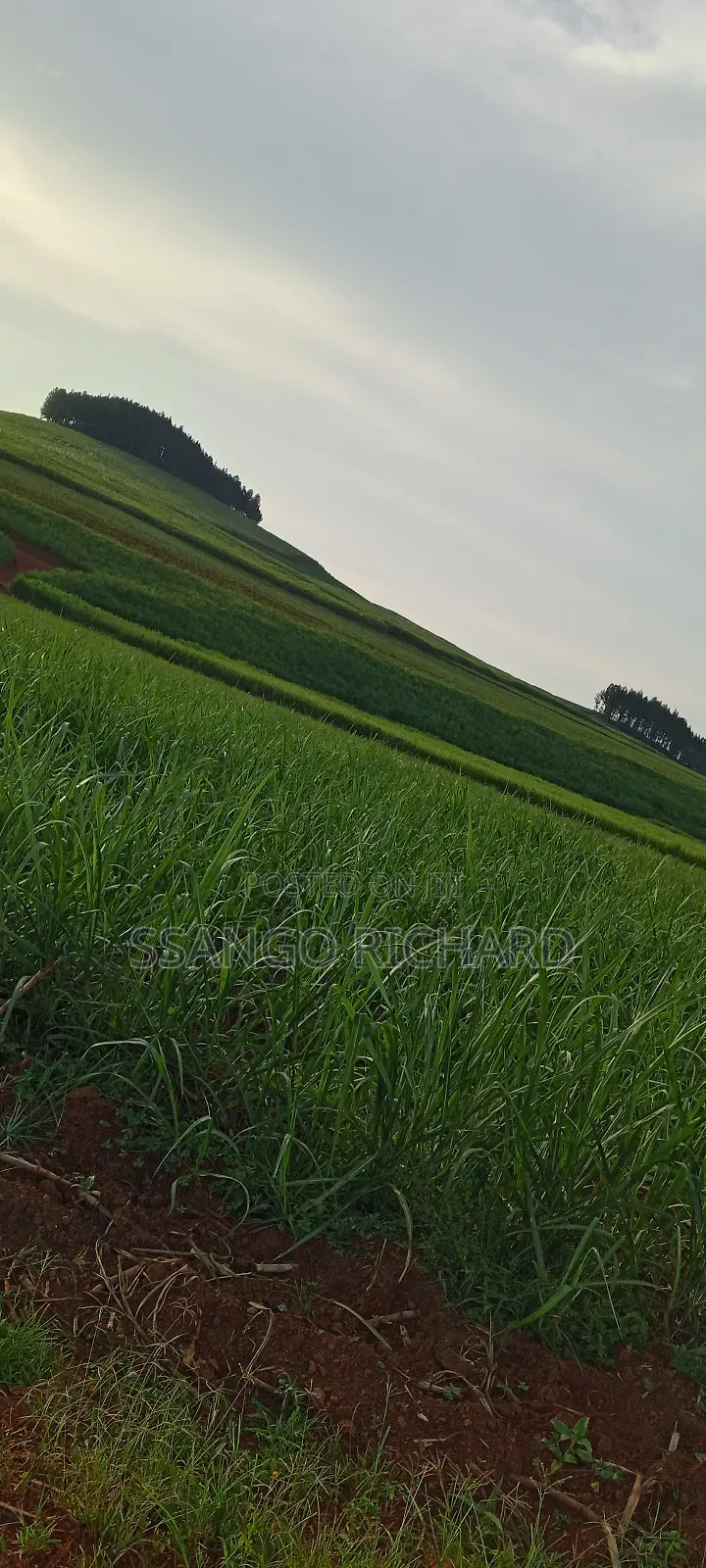 10 Acres in 7km From Jinja Road