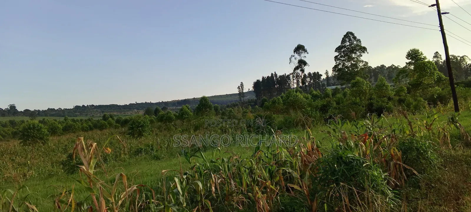 10 Acres in 7km From Jinja Road