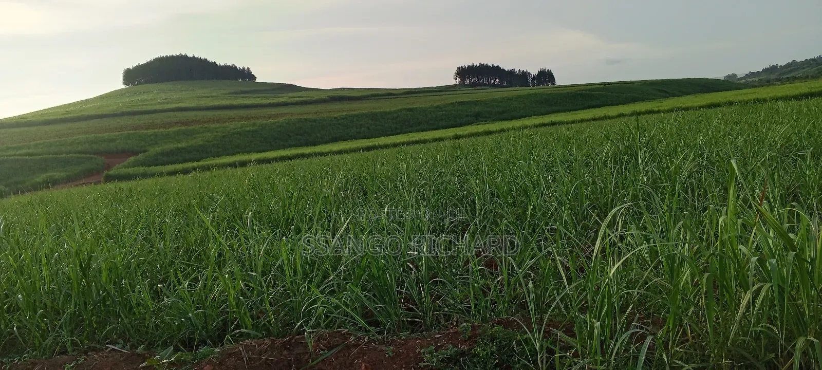 10 Acres in 7km From Jinja Road