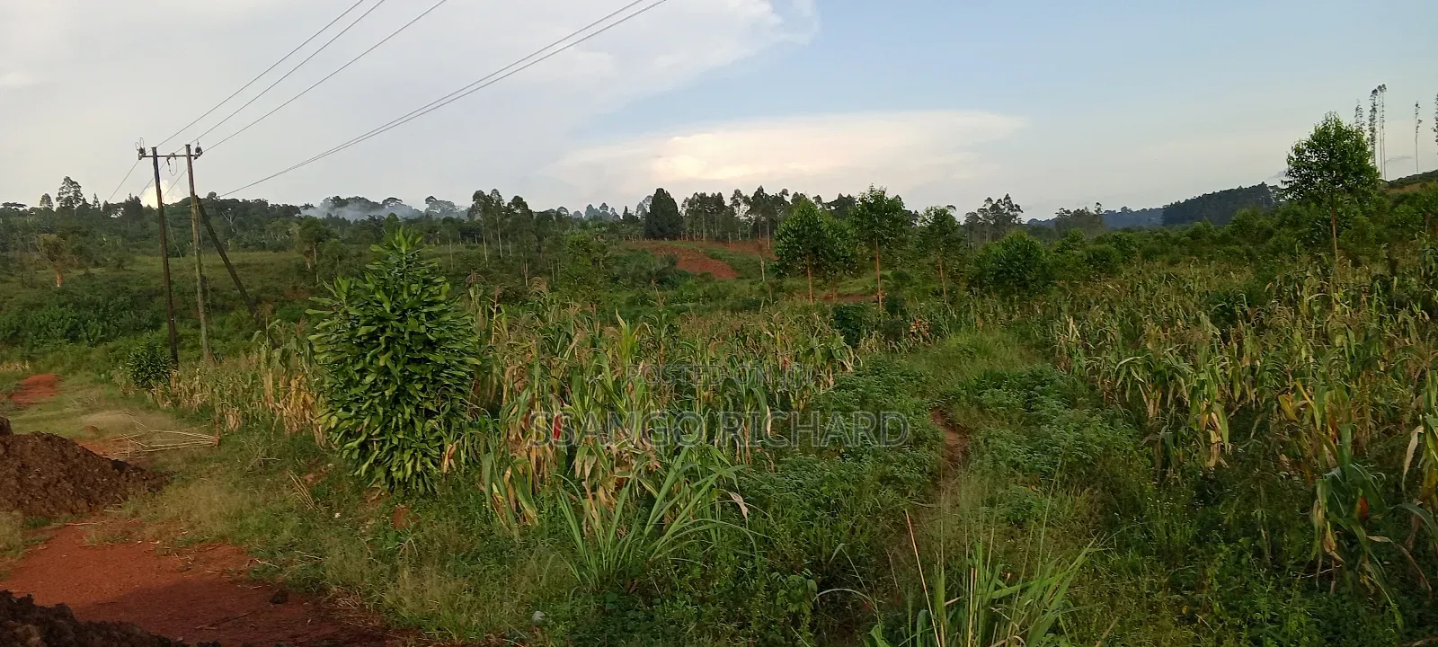 10 Acres in 7km From Jinja Road