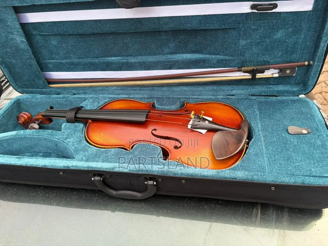 4/4 Professional Viola