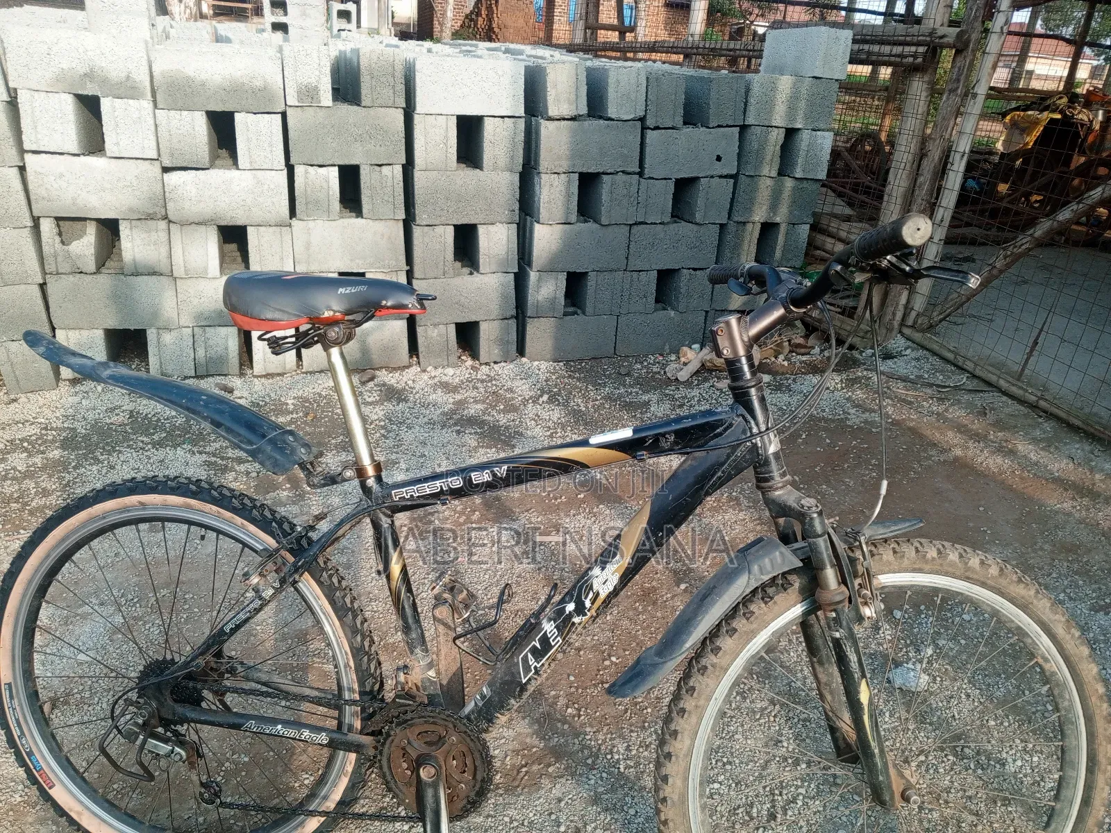 Mountain Bike