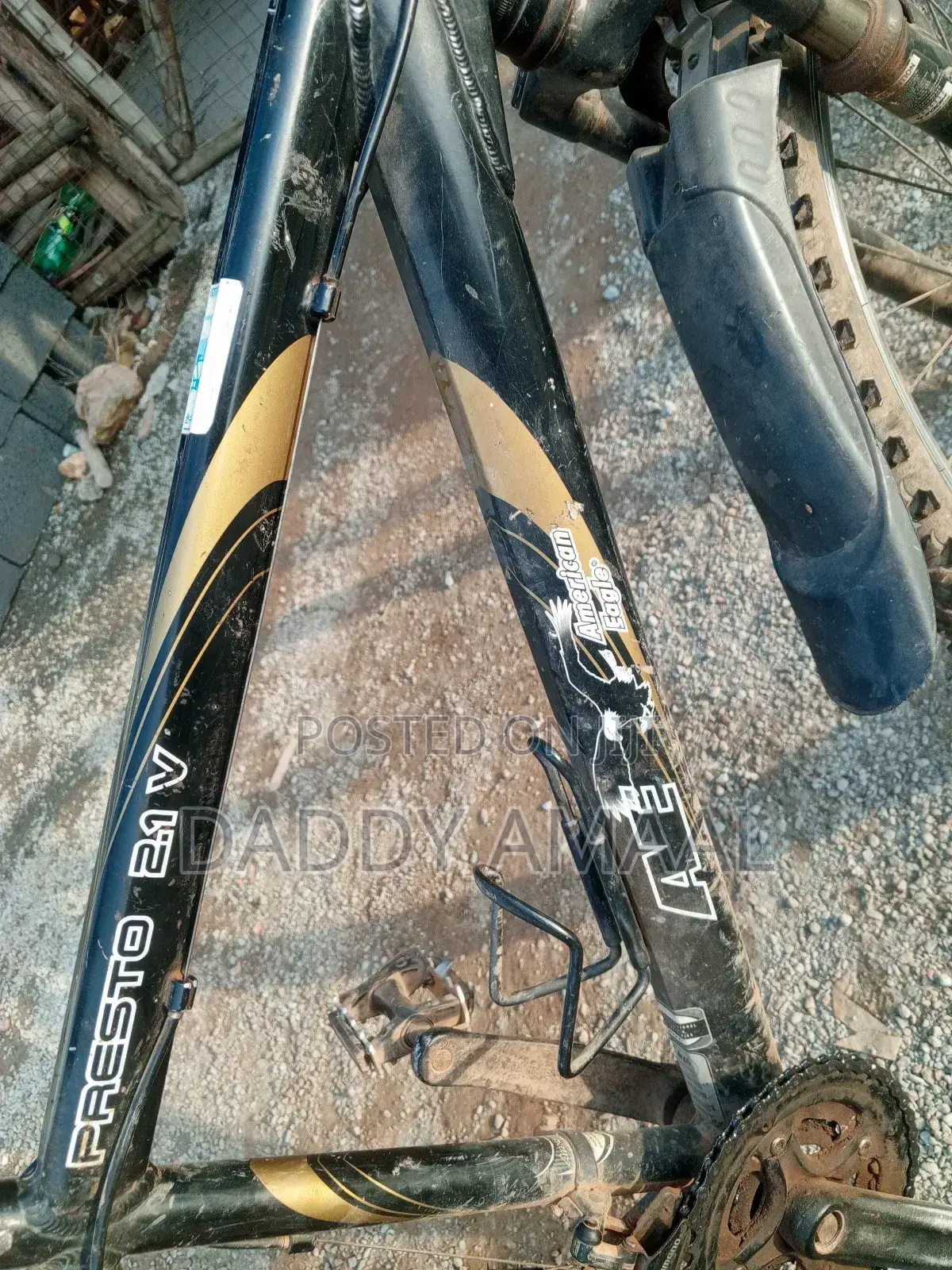 Mountain Bike