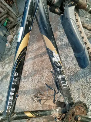 Mountain Bike