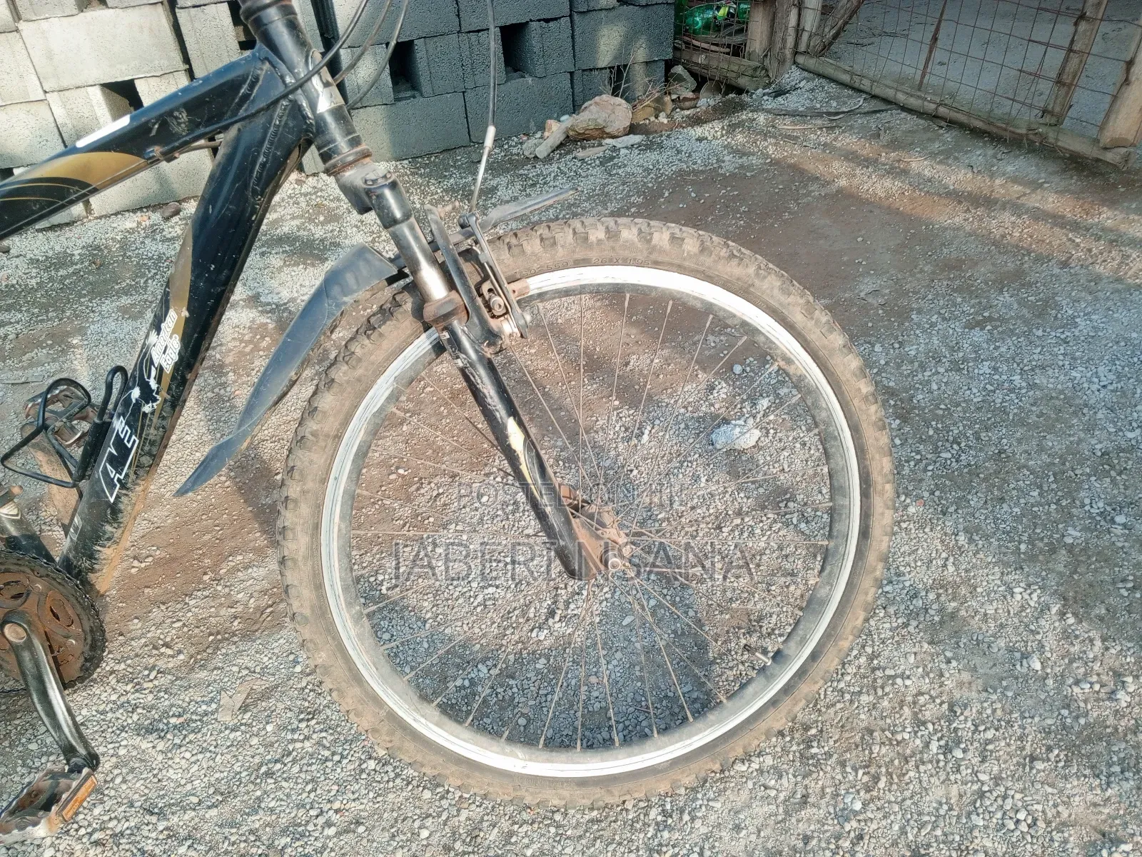 Mountain Bike