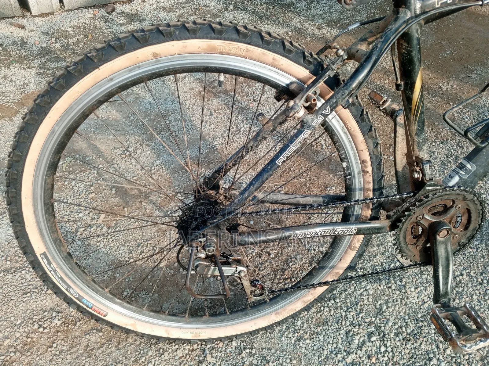 Mountain Bike