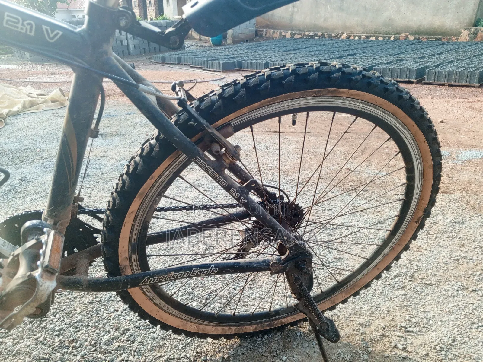 Mountain Bike