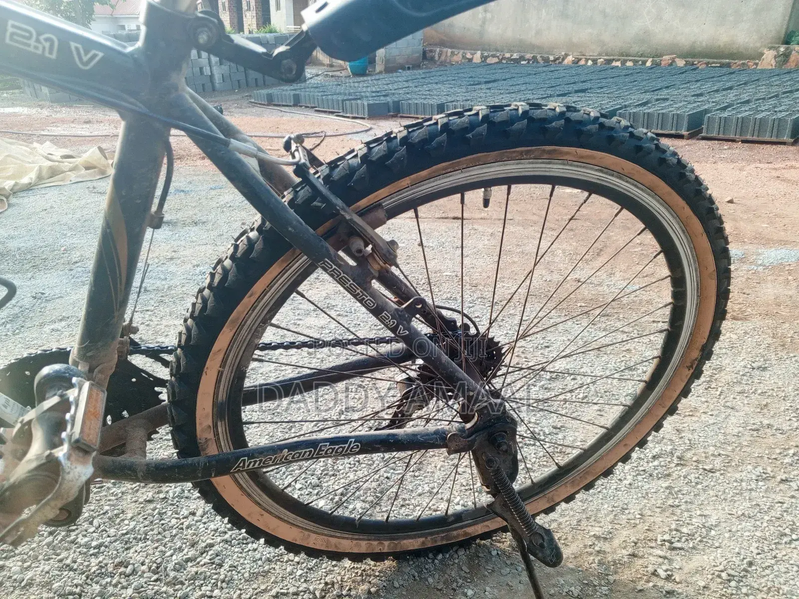 Mountain Bike