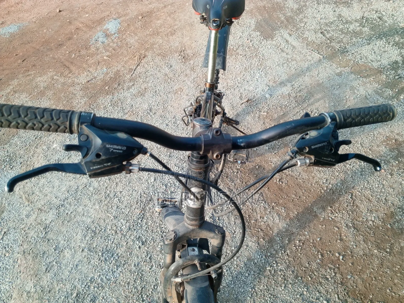 Mountain Bike