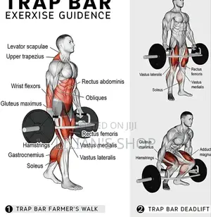 Olympic Hex Bar(Trap Bar)