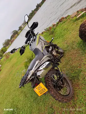 New Shineray XY250-11 2025 Gray