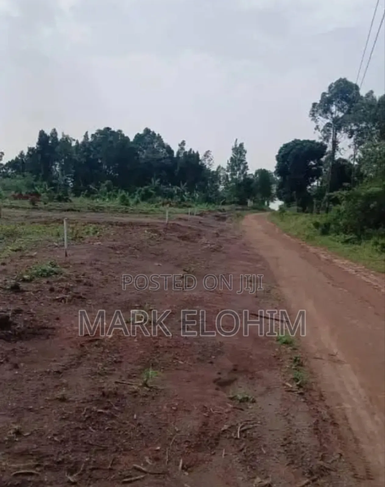Plots of Land in Various Sizes