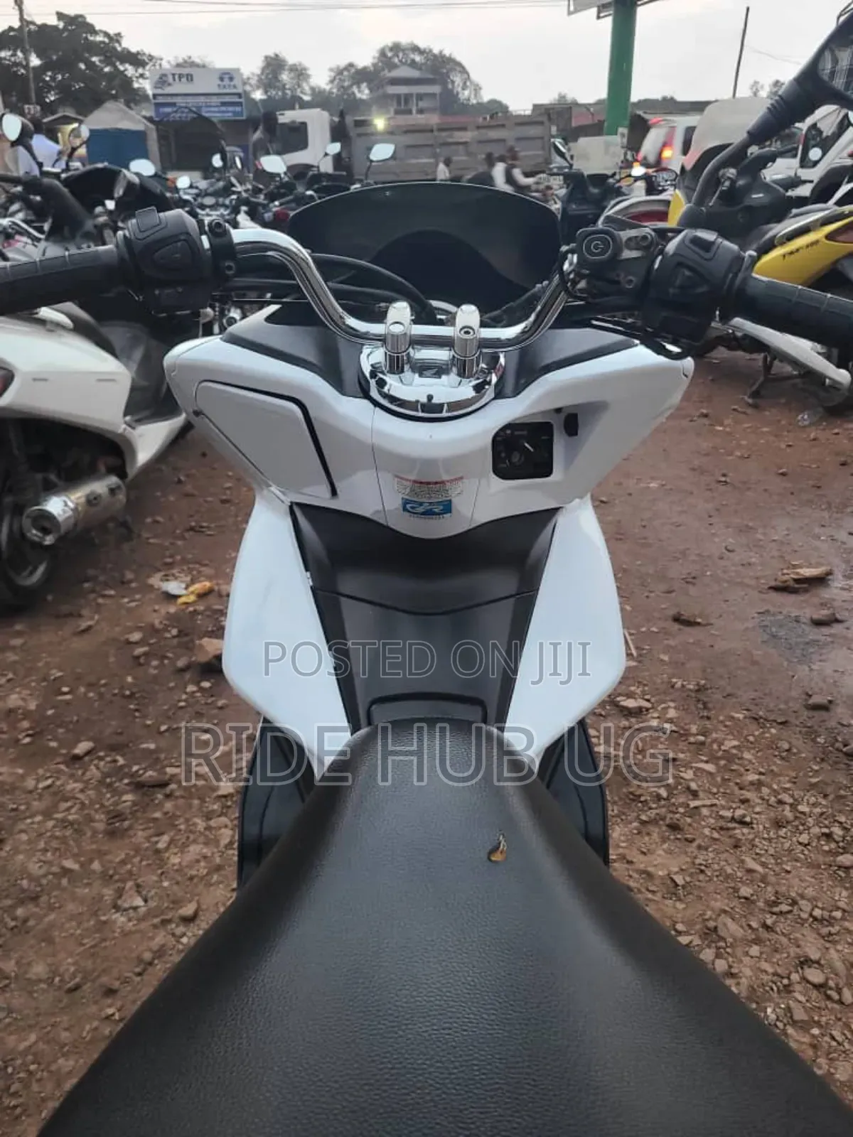 Honda 2018 White