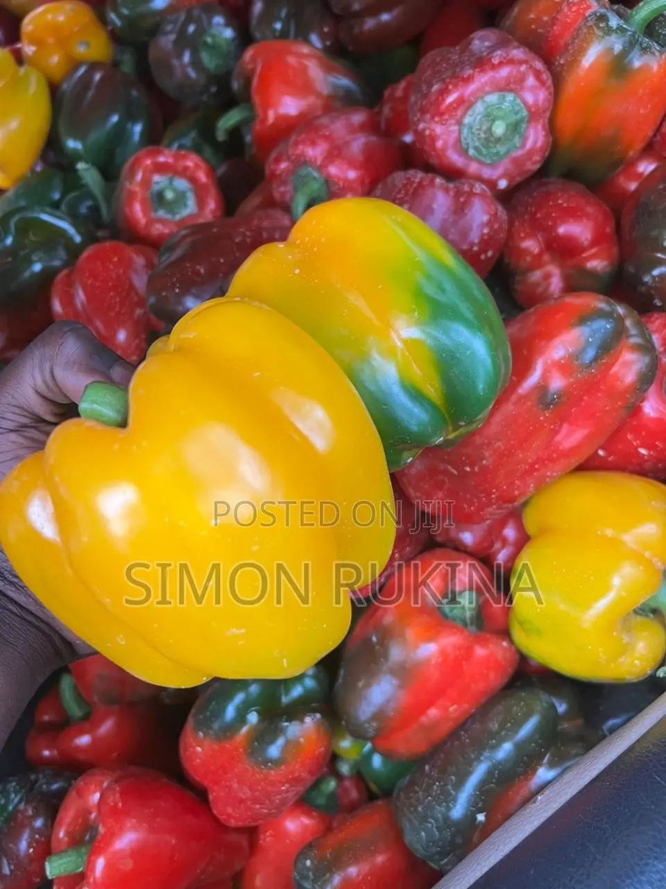 Sweet Pepper/Bell Pepper