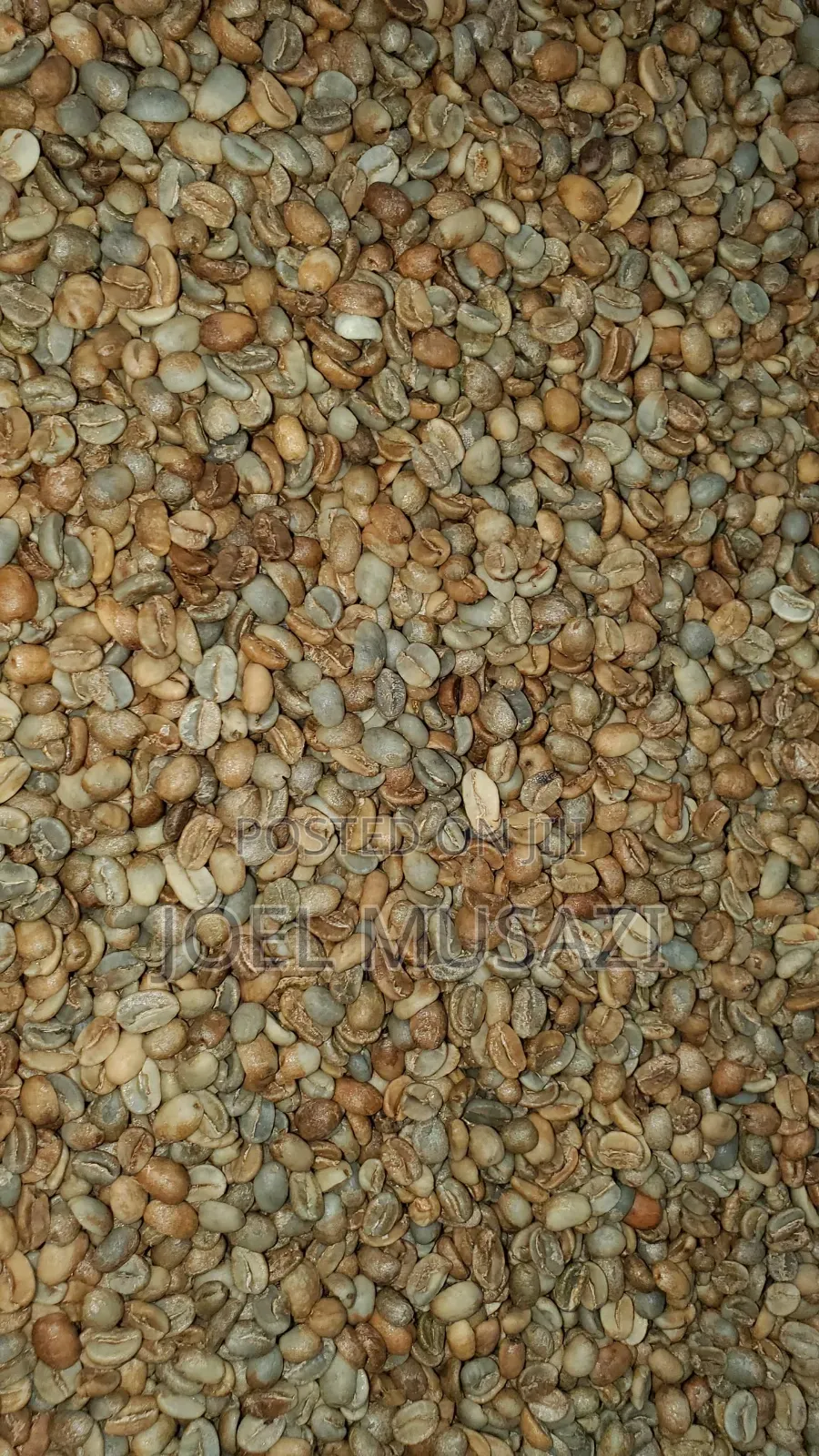 Drugar And Parchment For Sale