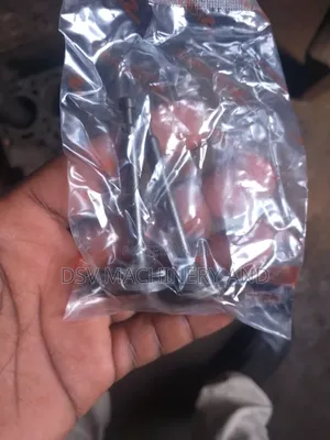 7.5hp Petro Engine 170 Spare Valves