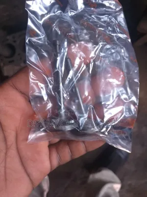 7.5hp Petro Engine 170 Spare Valves