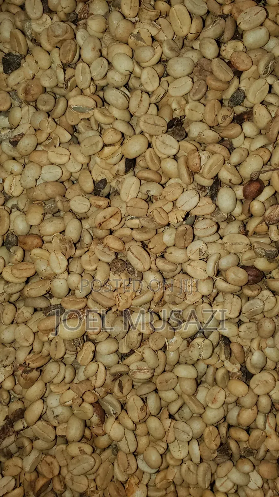 Drugar And Parchment For Sale