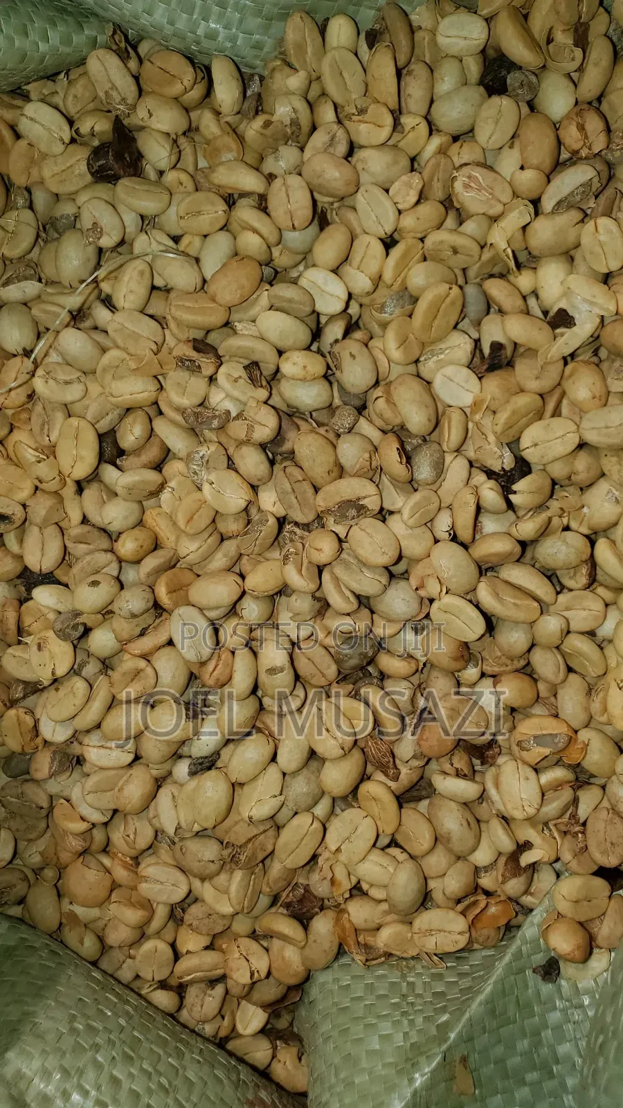 Drugar And Parchment For Sale