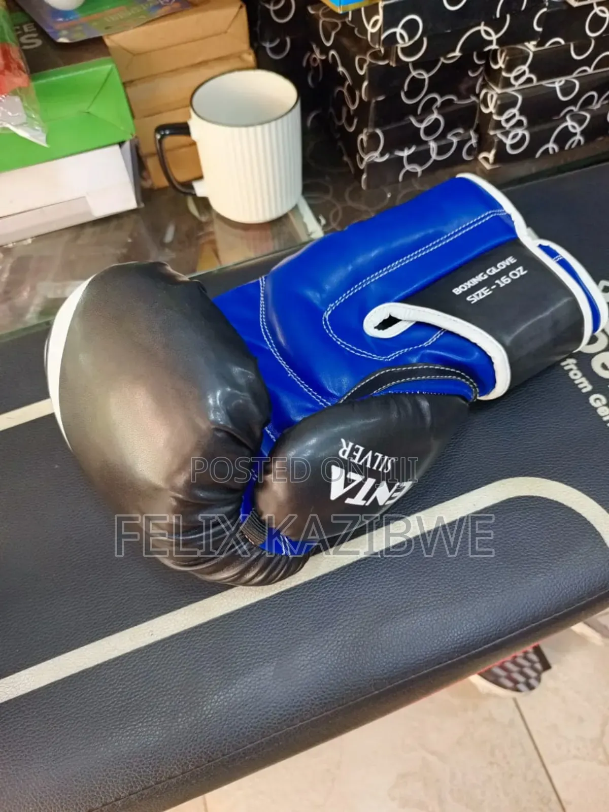 Penta Boxing Gloves.