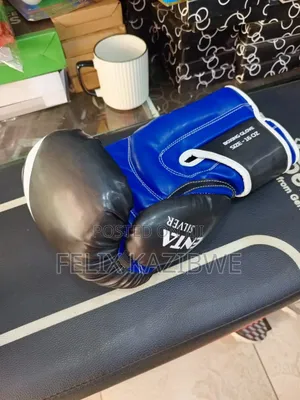 Penta Boxing Gloves.