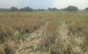 Farmland in Nwoya – Northern Uganda | 2,345 Acres | Ugx 2m Per Acre