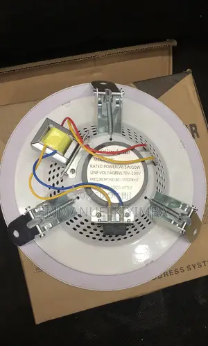 Celling Mounted Speakers