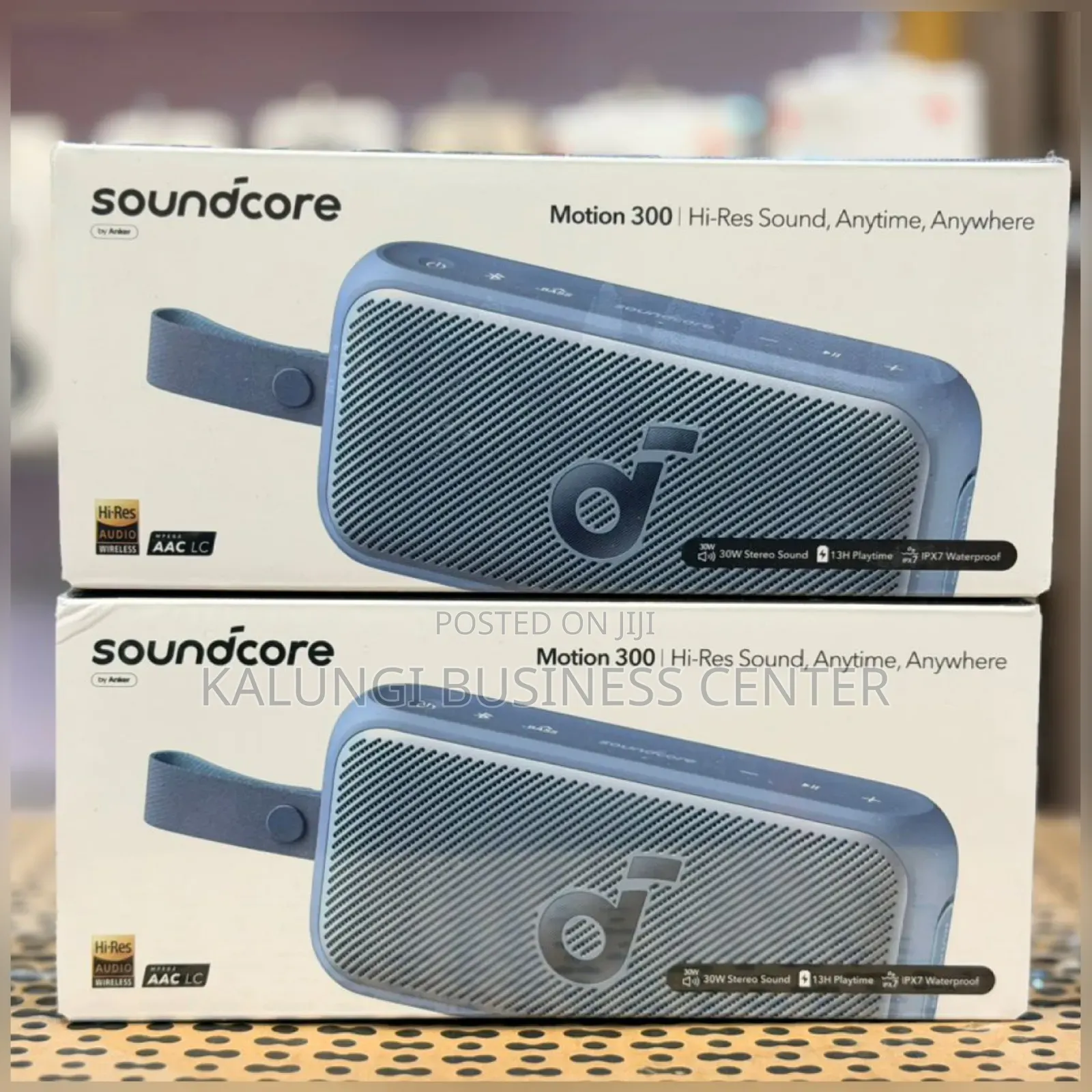 Anker Soundcore Motion 300 Portable Bluetooth Speaker
