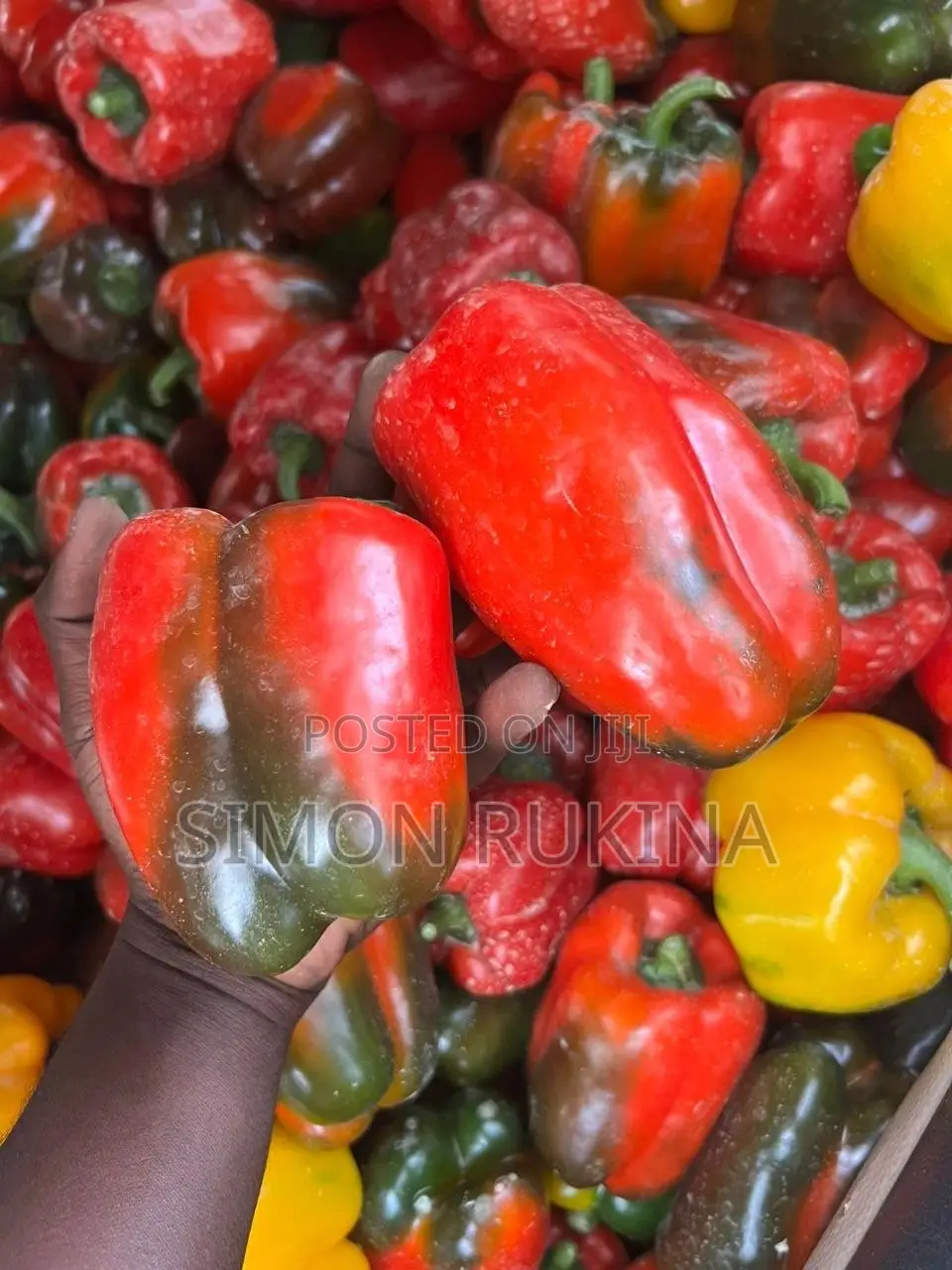 Sweet Pepper/Bell Pepper