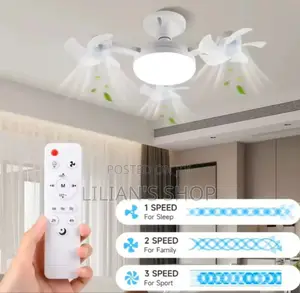 F3 Fan Light Ceiling Light With an Integrated Fan
