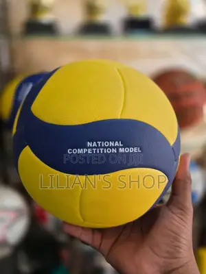 Mikasa V330w Official Fivb Volleyball.
