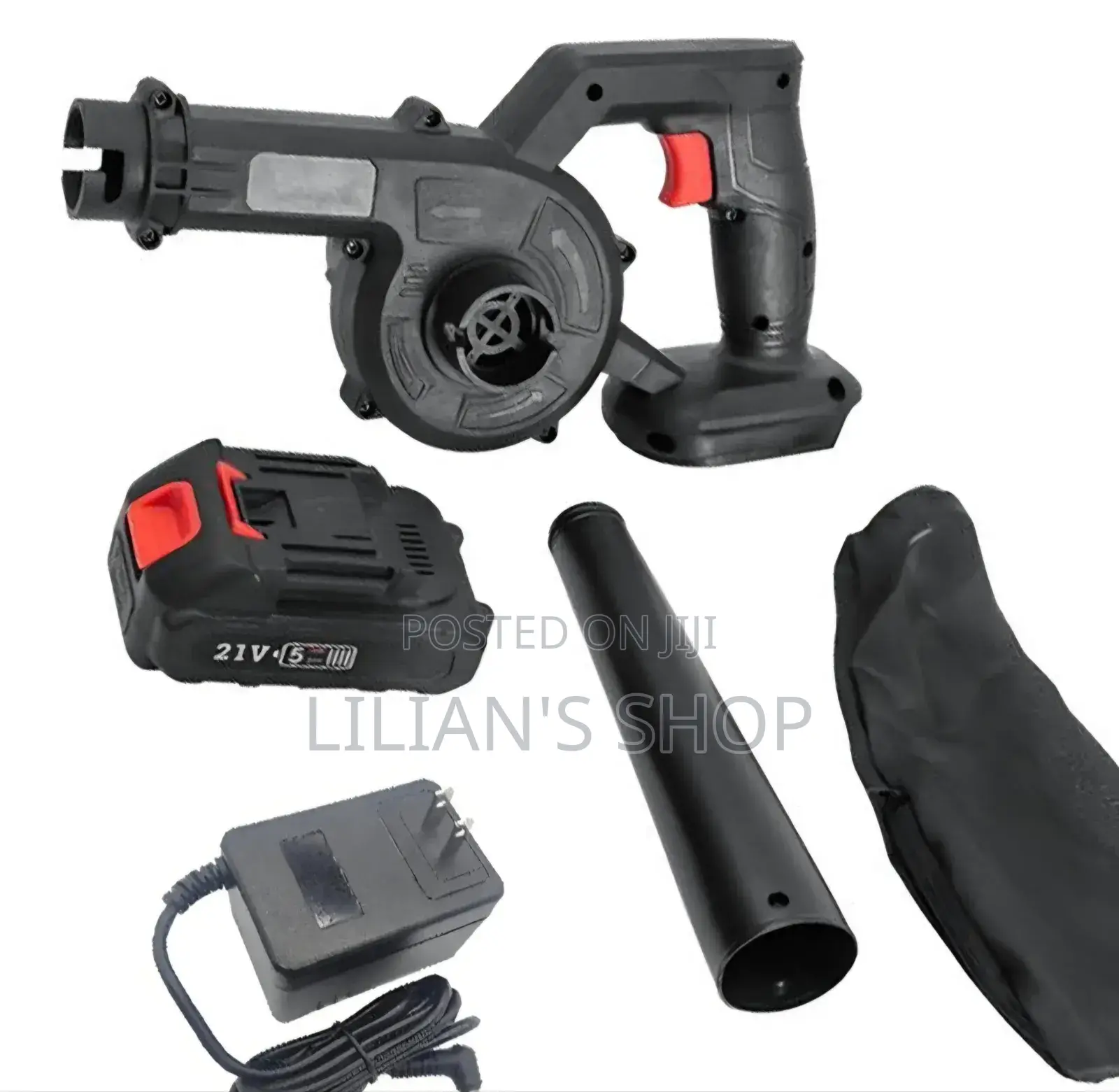 2in1 Rechargeable Professional Air Blower