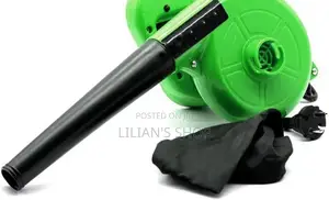 Electric Hand Air Blower