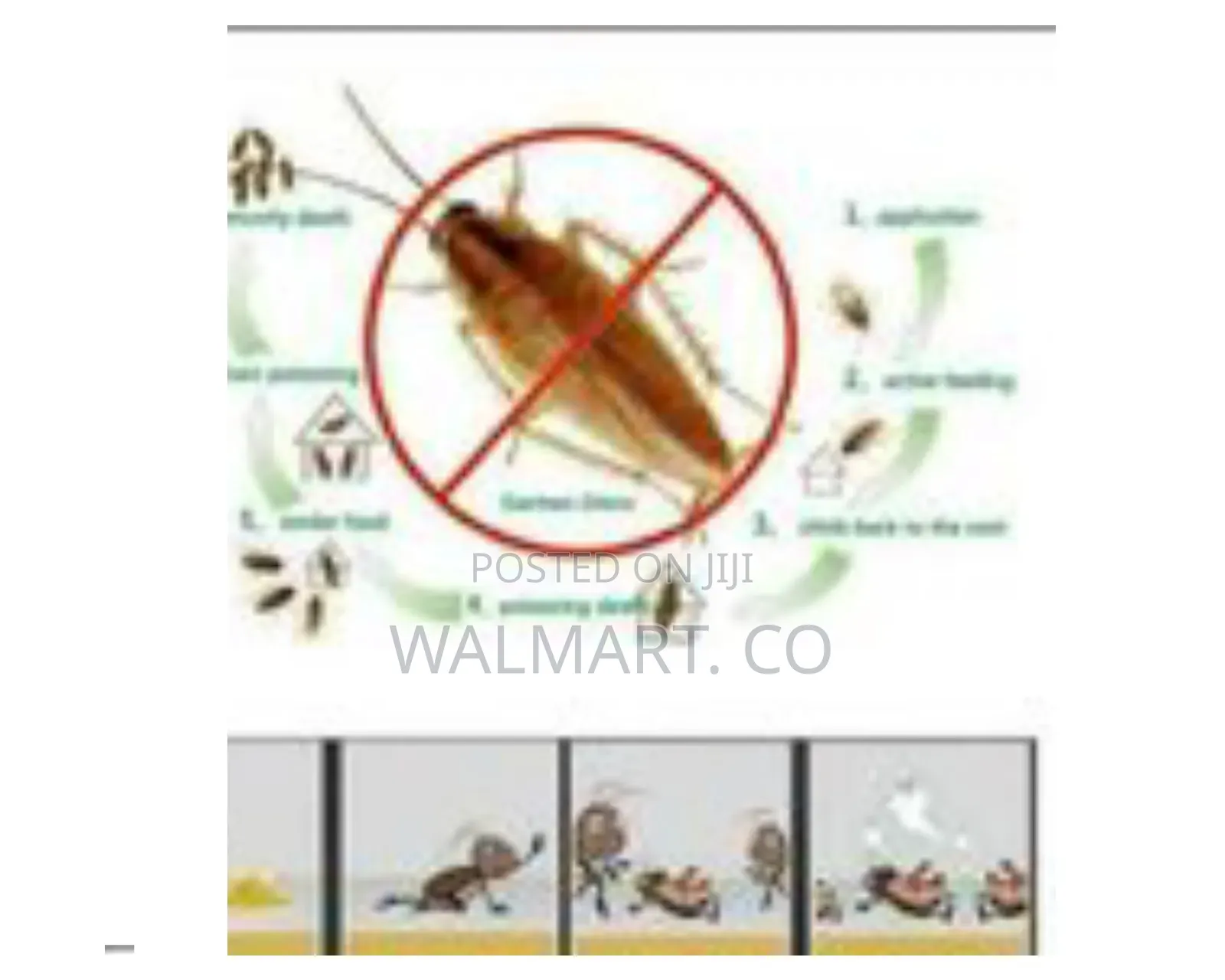 Cockroach Killing Powder